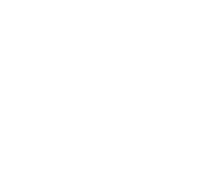 Charca Shoes