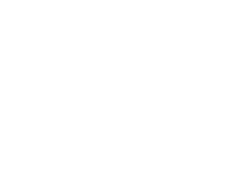 Dulis